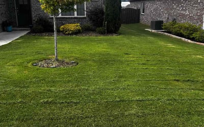 Photo of Heidi L.'s yard after getting lawn care in Falls Church, VA