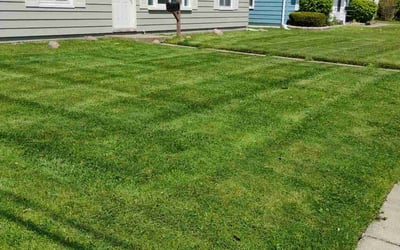 Photo of Sean R.'s yard after getting lawn care in Roseville, MI