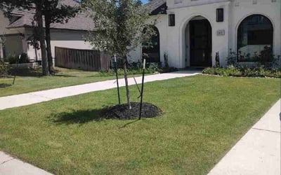 Photo of Tina B.'s yard after getting lawn care in Bastrop, TX
