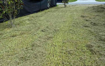 Photo of Robert W.'s yard after getting lawn care in Ridgeland, MS