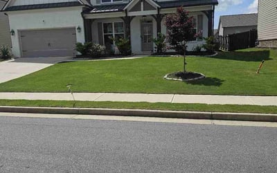 Photo of Merytre R.'s yard after getting lawn care in Flowery Branch, GA
