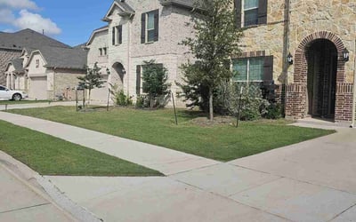 Photo of Petra W.'s yard after getting lawn care in High Point, NC