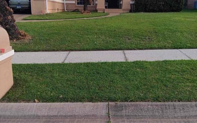 Photo of Heather M.'s yard after getting lawn care in Cantonment, FL
