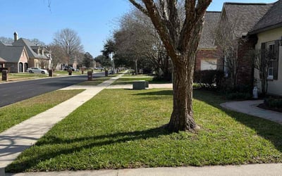 Photo of Kiesha C.'s yard after getting lawn care in Saddle Brook, NJ