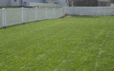Photo of Debrah R.'s yard after getting lawn care in Linden, MI