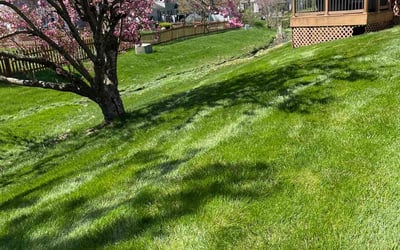 Photo of Doris V.'s yard after getting lawn care in Miamisburg, OH