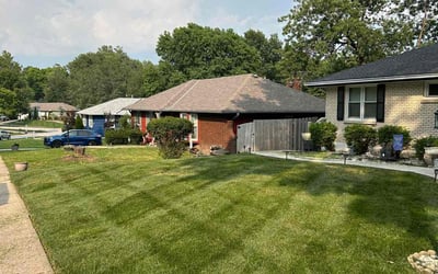 Photo of Mayzella W.'s yard after getting lawn care in Kansas City, KS