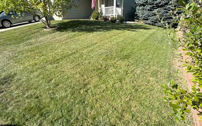 Photo of Eileen S.'s yard after getting lawn care in Centennial, CO