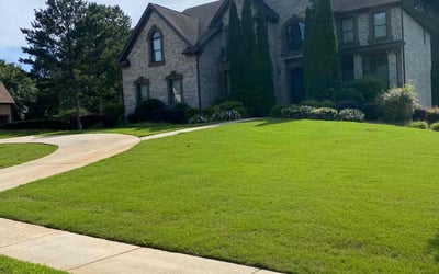 Photo of Angelica L.'s yard after getting lawn care in Ellenwood, GA