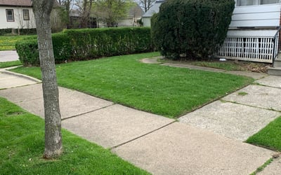 Photo of Kevin G.'s yard after getting lawn care in Hinckley, OH