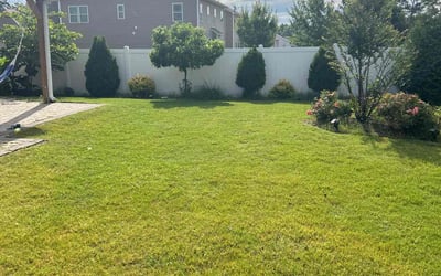 Photo of Jason T.'s yard after getting lawn care in Bowie, MD