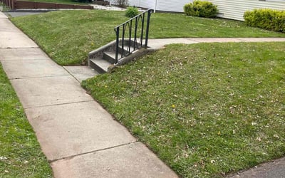 Photo of Mary H.'s yard after getting lawn care in Porterville, CA