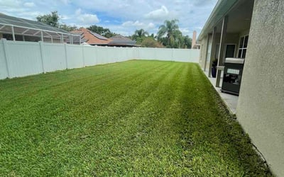 Photo of Susie P.'s yard after getting lawn care in Hunters Creek, FL