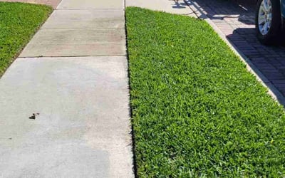 Photo of Michael N.'s yard after getting lawn care in Naples, FL