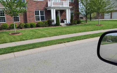 Photo of Carleen T.'s yard after getting lawn care in Carmel, NY