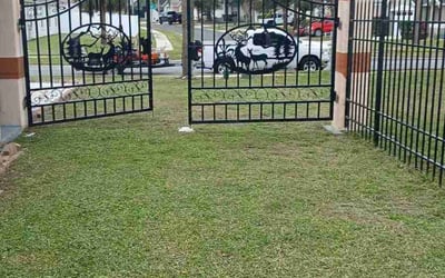 Photo of Alison B.'s yard after getting lawn care in Crofton, MD