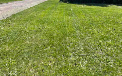 Photo of Della B.'s yard after getting lawn care in Walton, KY