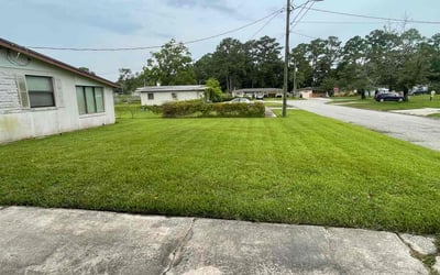 Photo of Megan L.'s yard after getting lawn care in St. Louis, MO