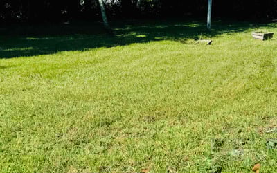Photo of Carlton B.'s yard after getting lawn care in Glendale, CA