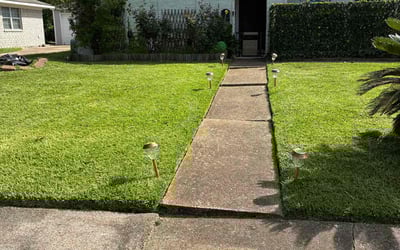 Photo of Terri L.'s yard after getting lawn care in Saddle Brook, NJ