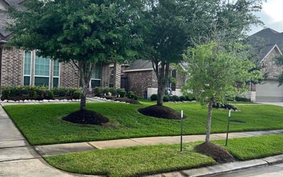 Photo of Evan M.'s yard after getting lawn care in Cypress, TX