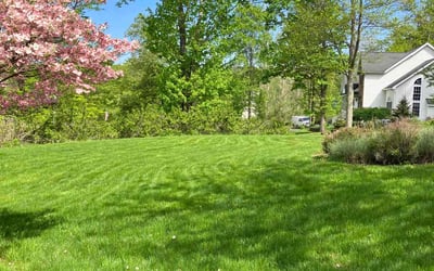 Photo of Maa Shepsu Menab N.'s yard after getting lawn care in Wilkes Barre, PA