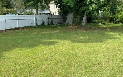 Photo of Myana H.'s yard after getting lawn care in Glassboro, NJ