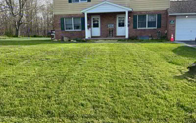 Photo of John G.'s yard after getting lawn care in Douglassville, PA