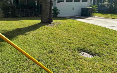 Photo of Diann C.'s yard after getting tree care in Pine Castle, FL