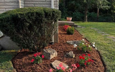 Photo of Leon W.'s yard after getting lawn care in San Bernardino, CA