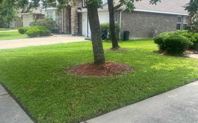 Photo of Jerry J.'s yard after getting lawn care in Madison, NJ