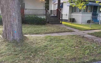 Photo of Nick D.'s yard after getting lawn care in Saginaw, MI