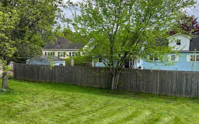 Photo of Chris G.'s yard after getting lawn care in Utica, NY
