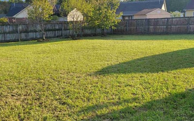 Photo of Sterling A.'s yard after getting lawn care in Fayetteville, NC