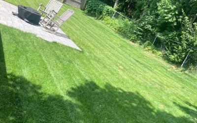 Photo of Linda W.'s yard after getting lawn care in Randolph, MA