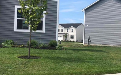 Photo of Brenda F.'s yard after getting lawn care in Groveport, OH