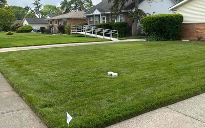 Photo of Delmonica S.'s yard after getting lawn care in Bedford Heights, OH