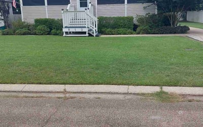 Photo of Michelle P.'s yard after getting lawn care in Denham Springs, LA