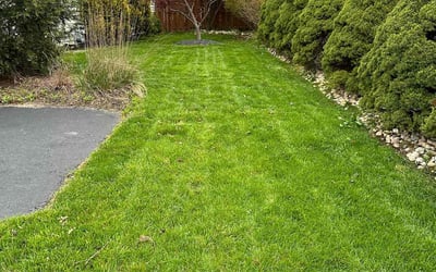 Photo of Kyung K.'s yard after getting lawn care in Palisades Park, NJ