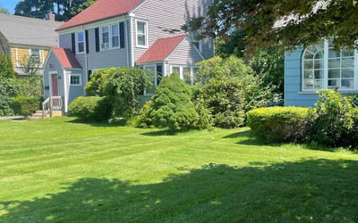 Photo of Patty C.'s yard after getting lawn care in West Hartford, CT