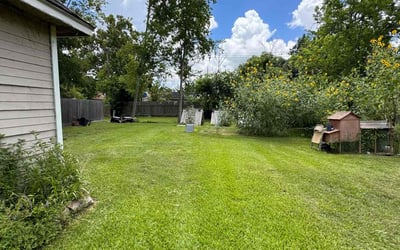 Photo of Yu F.'s yard after getting lawn care in Norman, OK