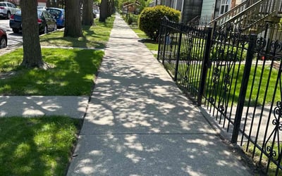 Photo of Raymell E.'s yard after getting lawn care in Chicago Ridge, IL