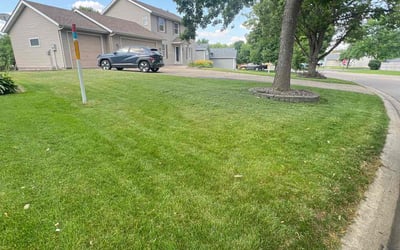 Photo of Rob S.'s yard after getting lawn care in Royal Oak, MI