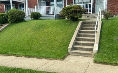Photo of Alex V.'s yard after getting lawn care in Baltimore, MD