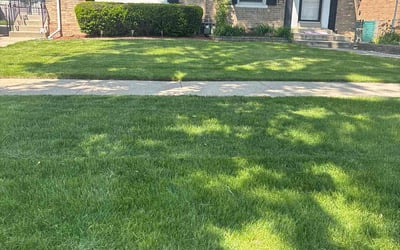 Photo of Marjorie S.'s yard after getting lawn care in Bellwood, IL