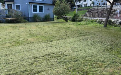 Photo of Francis B.'s yard after getting lawn care in Morris Plains, NJ