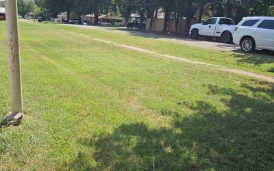 Photo of Nancy G.'s yard after getting lawn care in Lebanon, PA