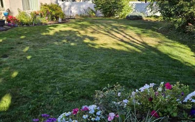 Photo of Trenee M.'s yard after getting lawn care in Post Falls, ID