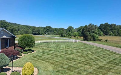 Photo of Sajag P.'s yard after getting lawn care in Champaign, IL