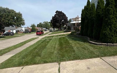 Photo of Alicia D.'s yard after getting lawn care in Fallbrook, CA